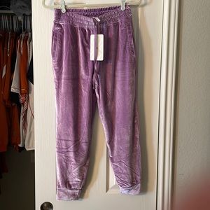 Lilac velour jogger